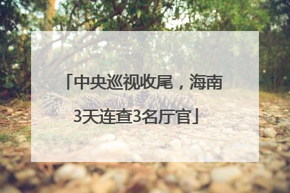 中央巡视收尾，海南3天连查3名厅官